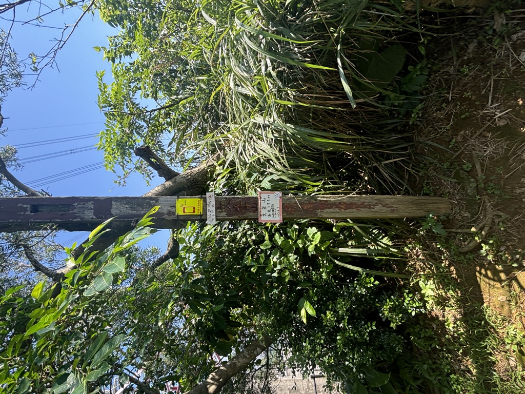 Photo №9 of Wenbishan