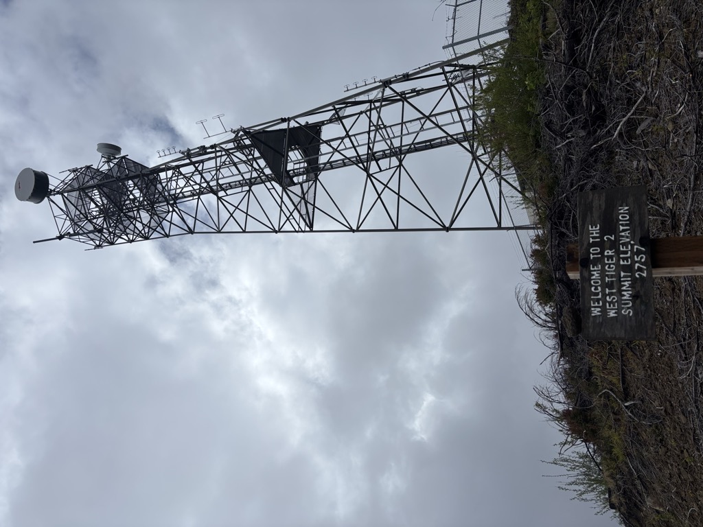 Photo №2 of West Tiger #2