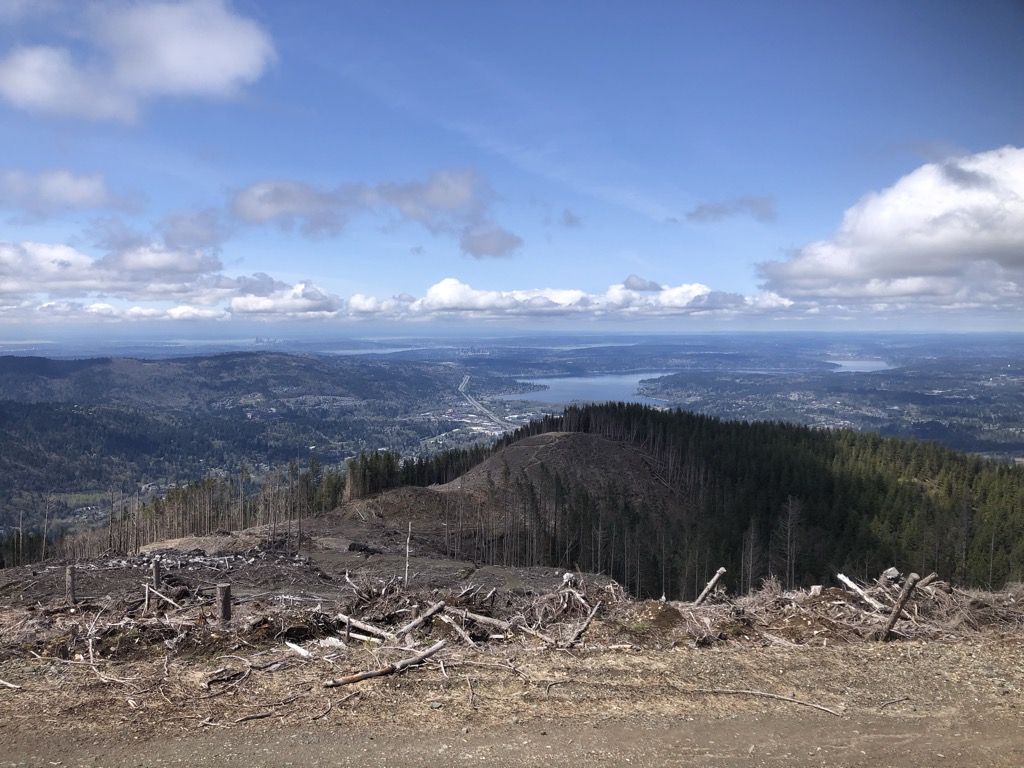 Photo №3 of West Tiger #3