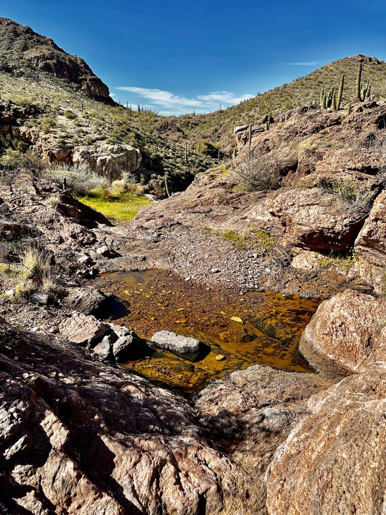 Wild Horse Tank