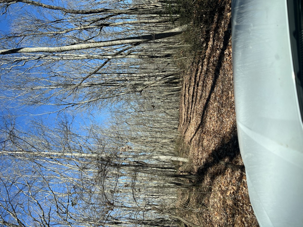 Photo №1 of Wilson Ridge