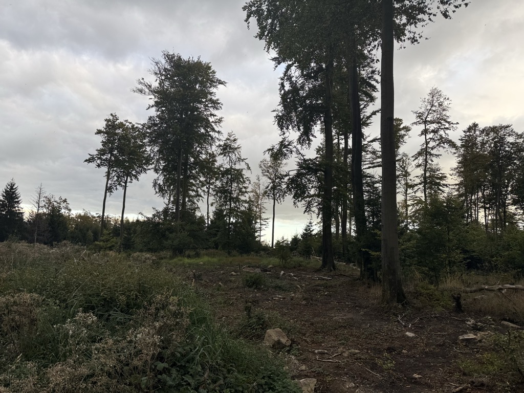 Photo №2 of Winterberg