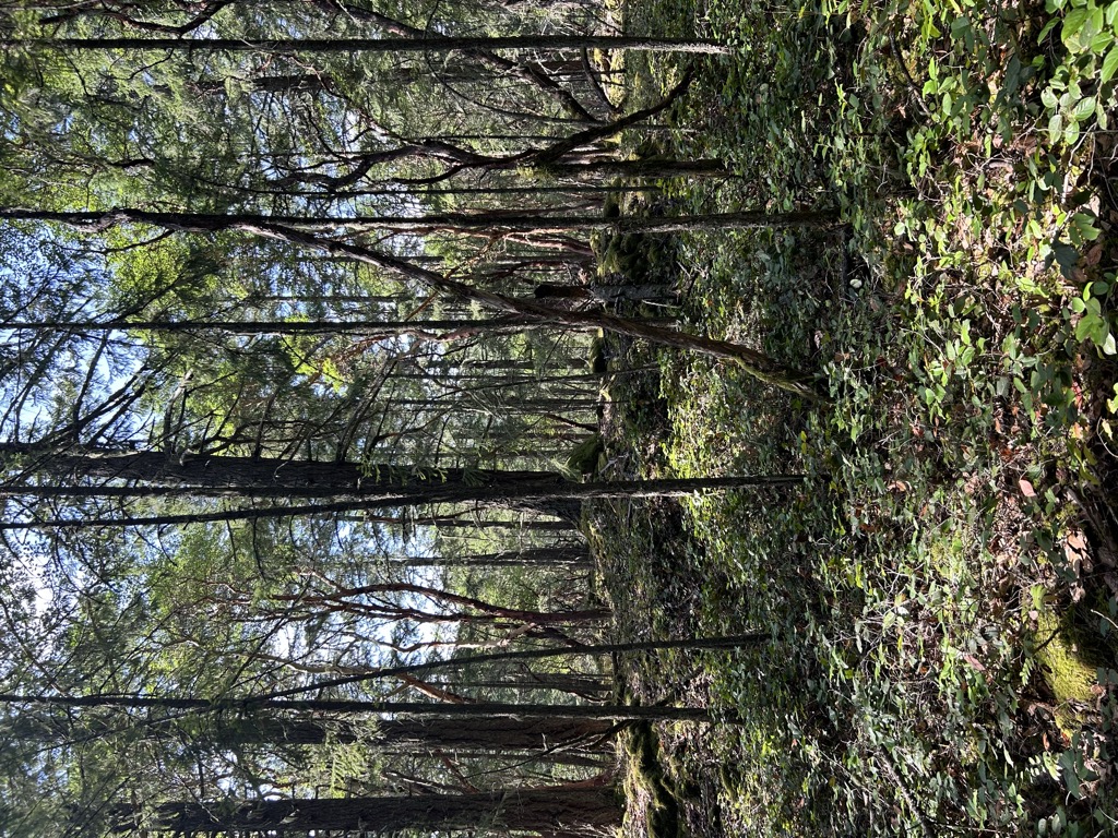 Photo №3 of Wolf Hill