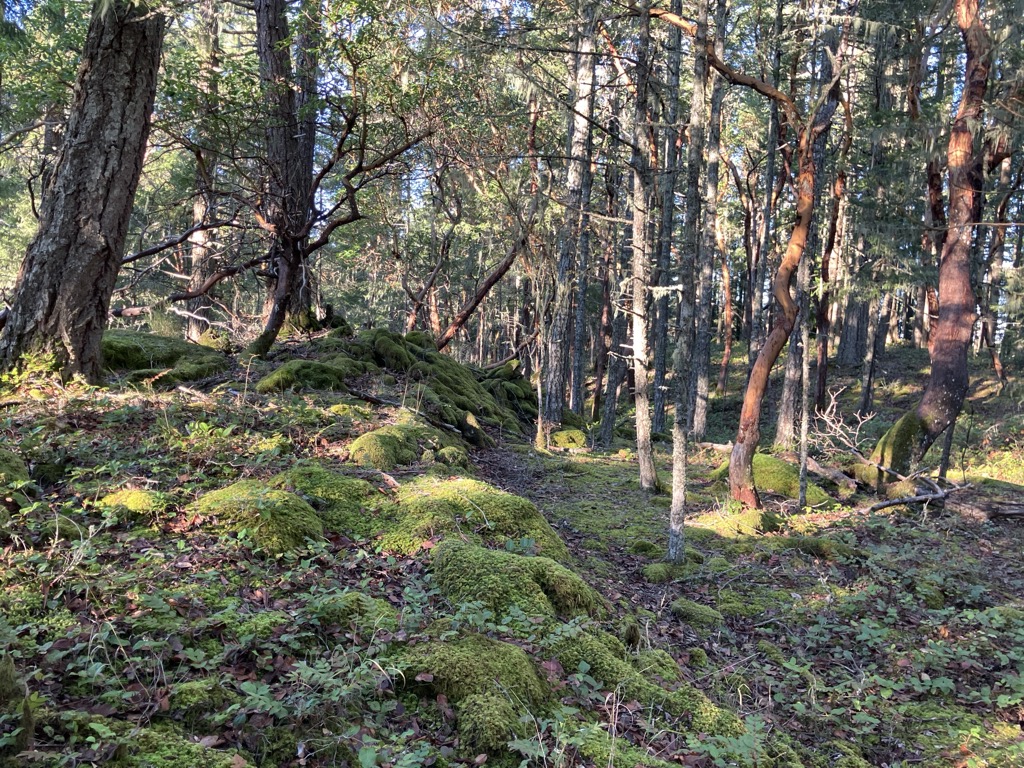 Photo №4 of Wolf Hill