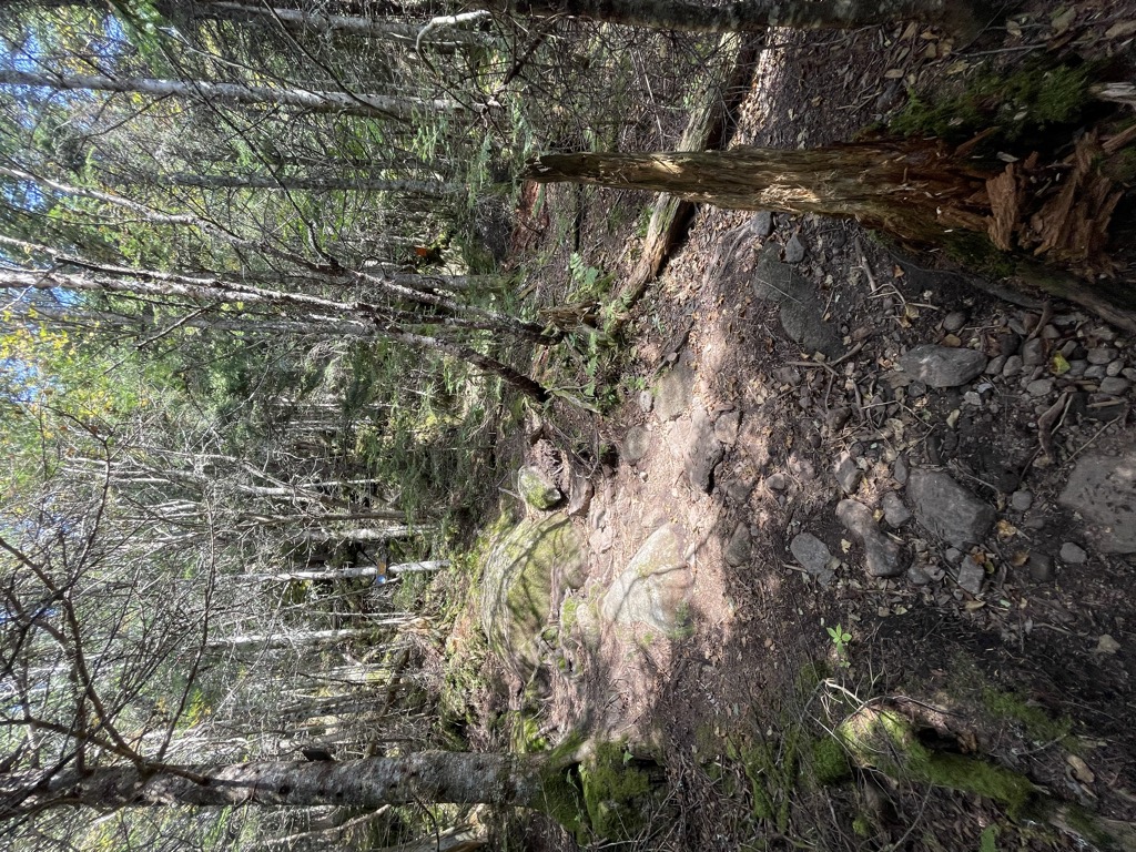 Photo №2 of Wolf Jaw Notch