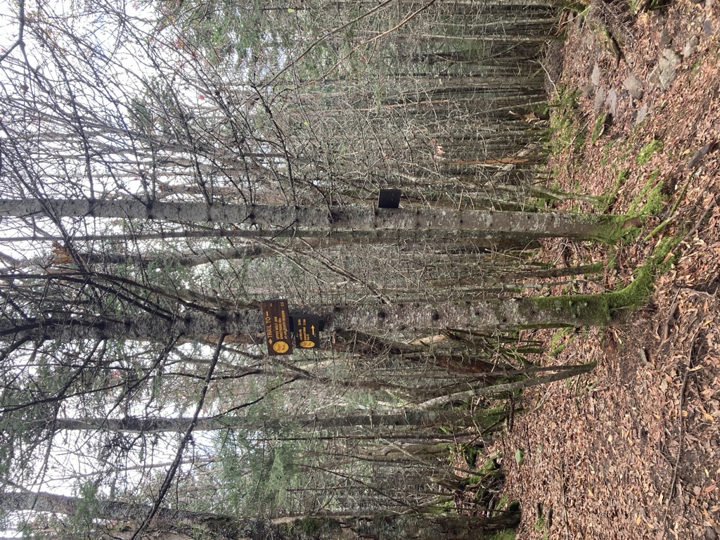 Photo №3 of Wolf Jaw Notch