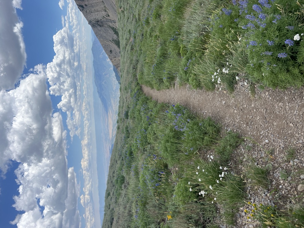 Wolf Pass
