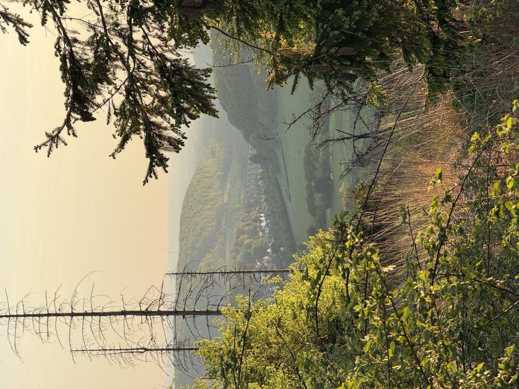 Photo №1 of Wolfsberg