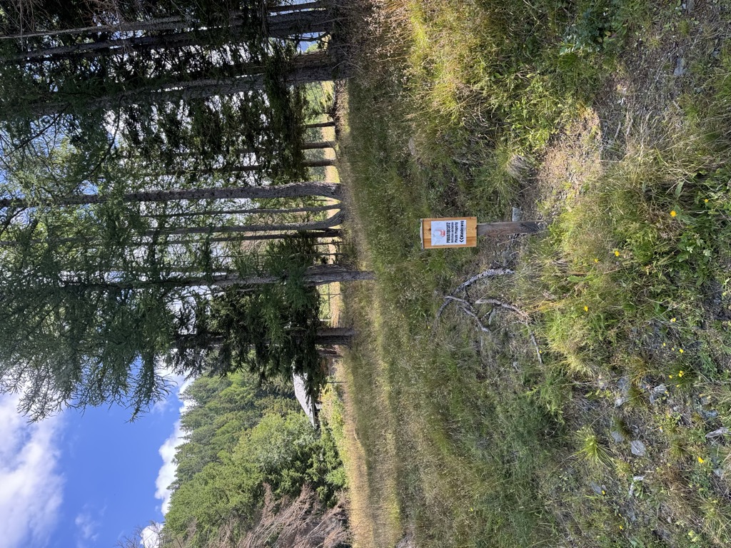wolliggerhutte