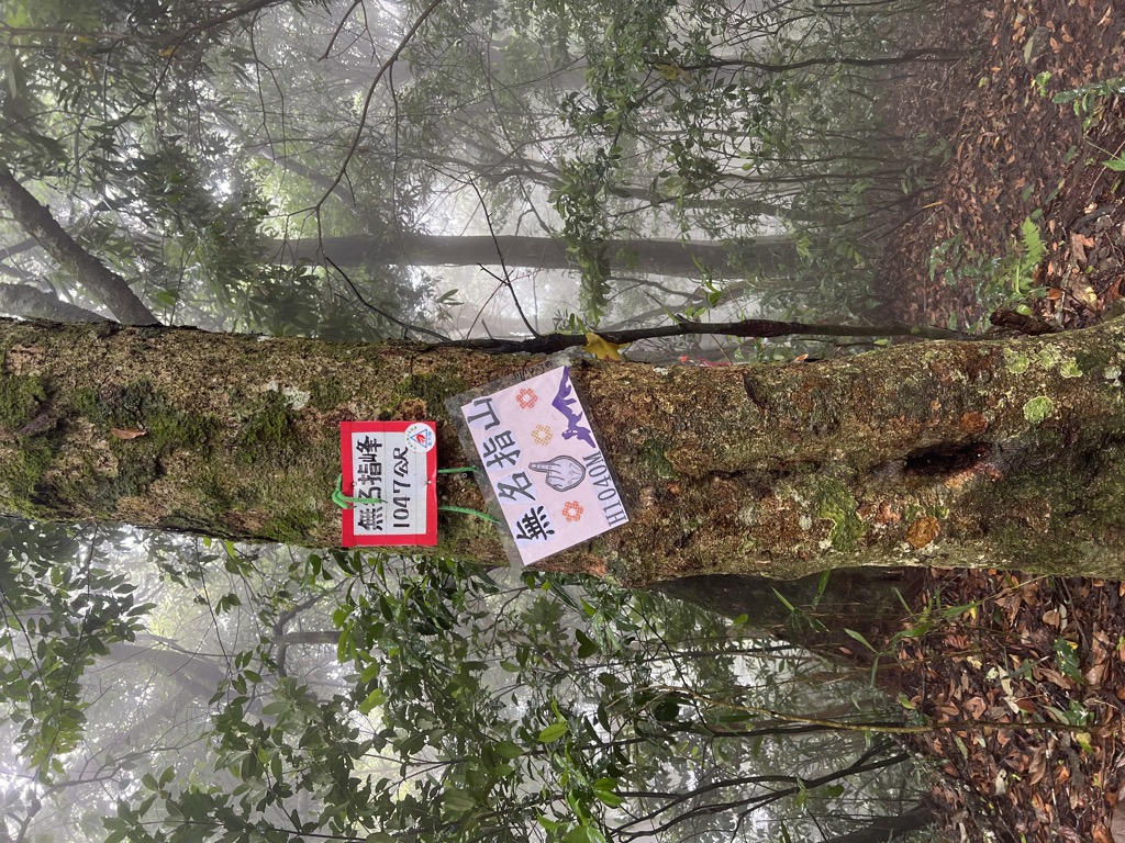 Photo №4 of Wumingzhifeng