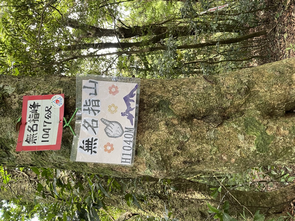 Photo №3 of Wumingzhifeng