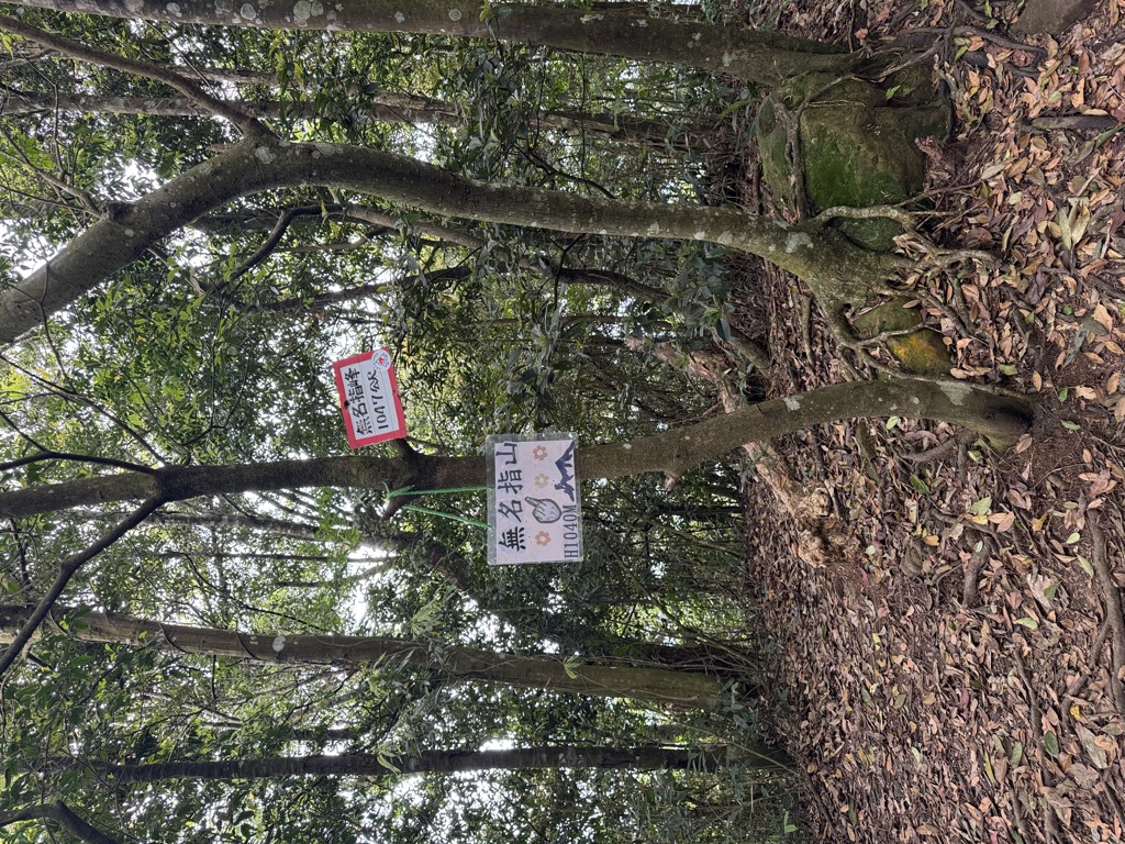 Photo №2 of Wumingzhifeng