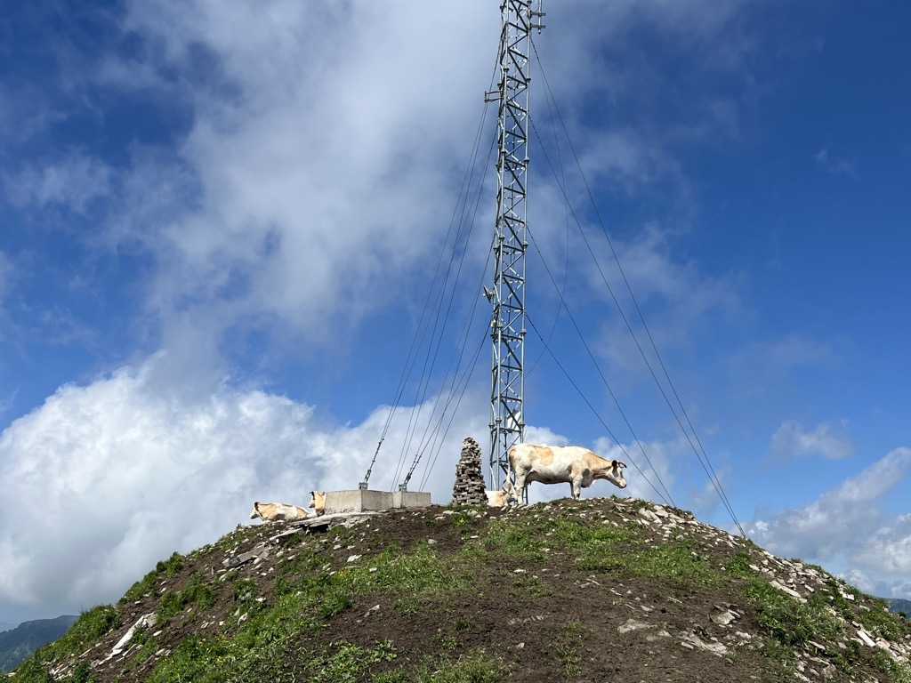 Photo №2 of Xītái