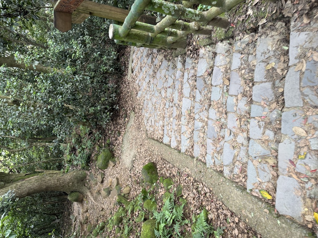 Photo №3 of Xiāngsī Yá