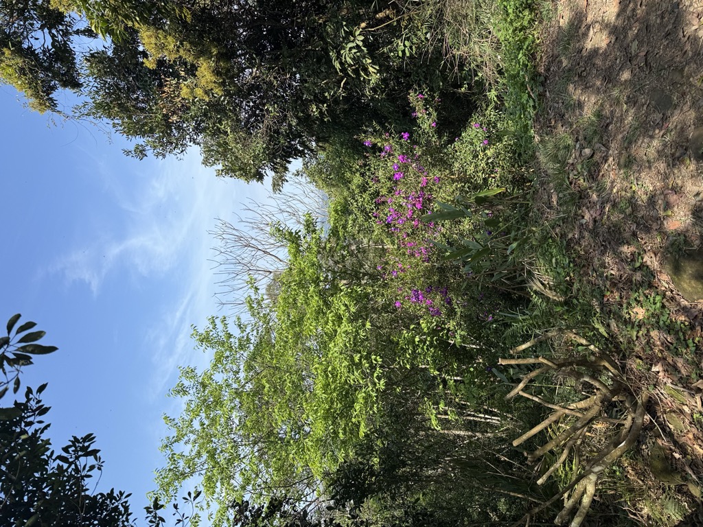 Photo №6 of Xiāngsī Yá