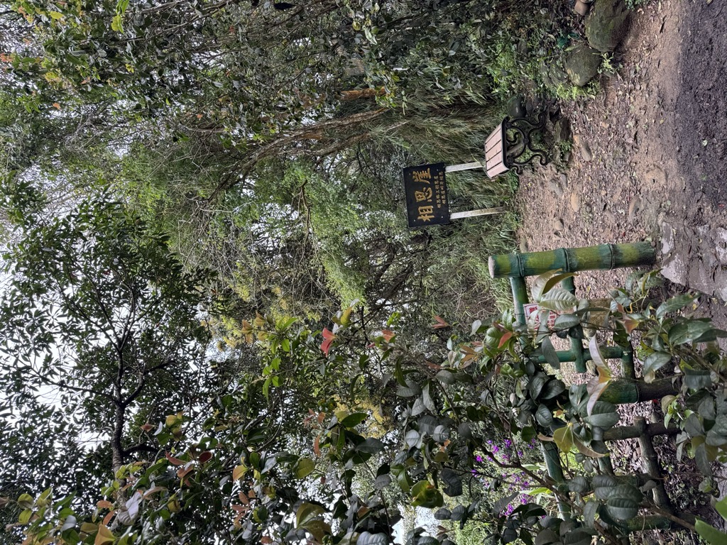 Photo №5 of Xiāngsī Yá