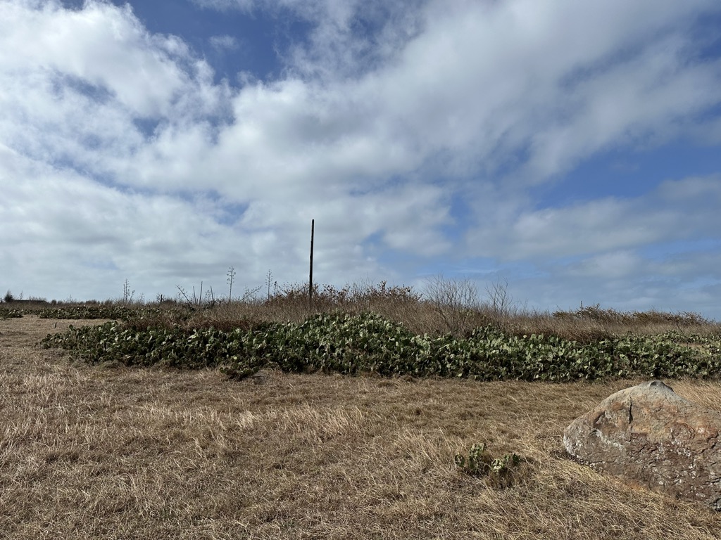 Photo №1 of Xi Shan