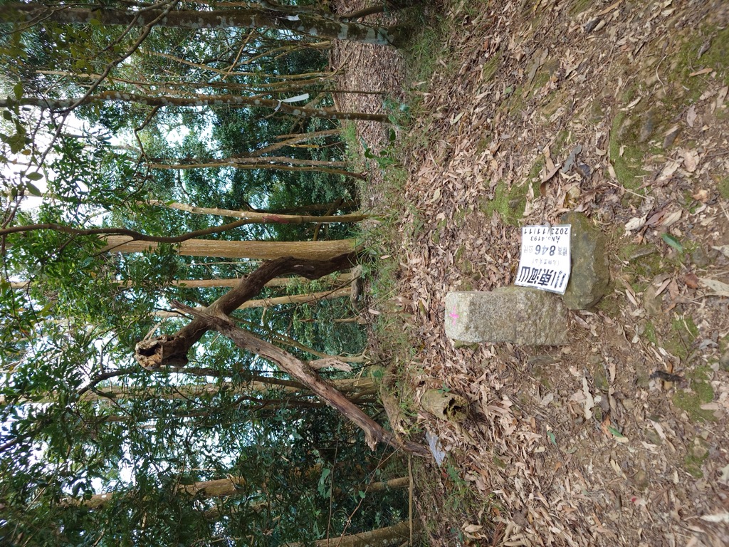 Photo №2 of Xiaodongheshan