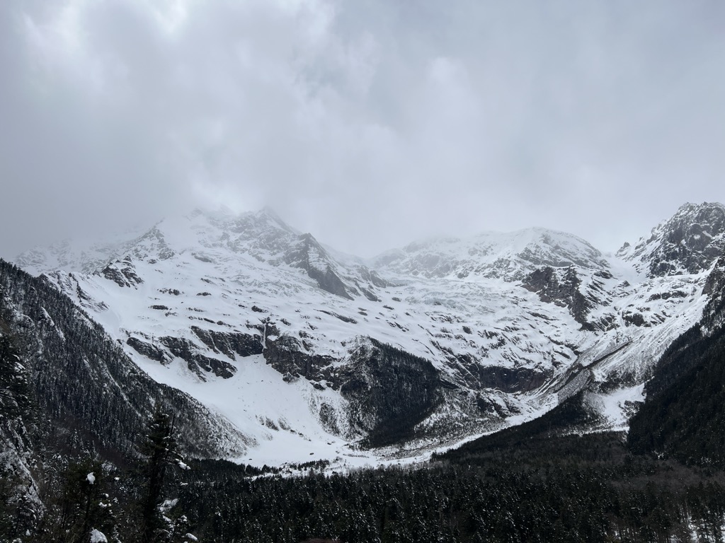 Photo №4 of Xiaonong Col