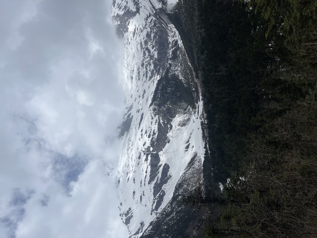 Photo №3 of Xiaonong Col
