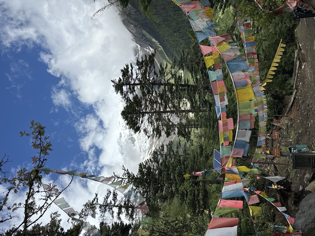 Photo №5 of Xiaonong Col