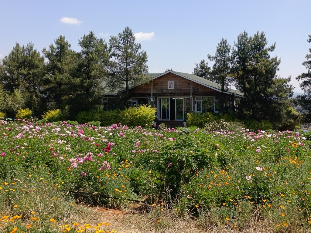 Photo №1 of Yān Bāo Shān