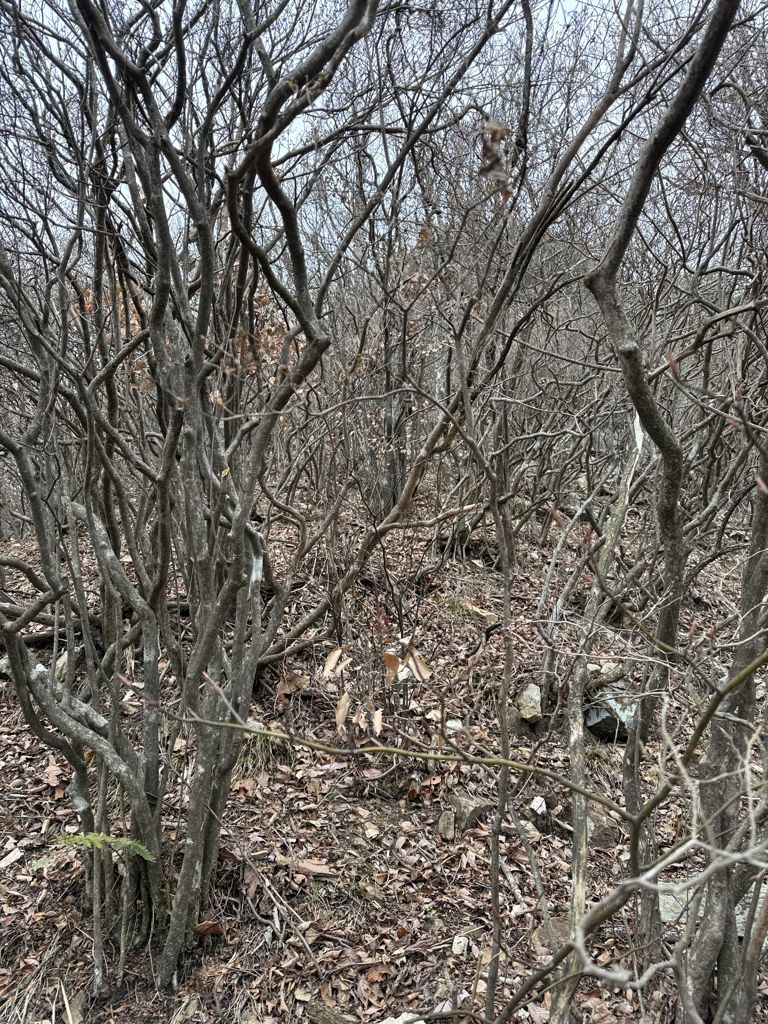 Photo №1 of Yīn Xī Lǐng