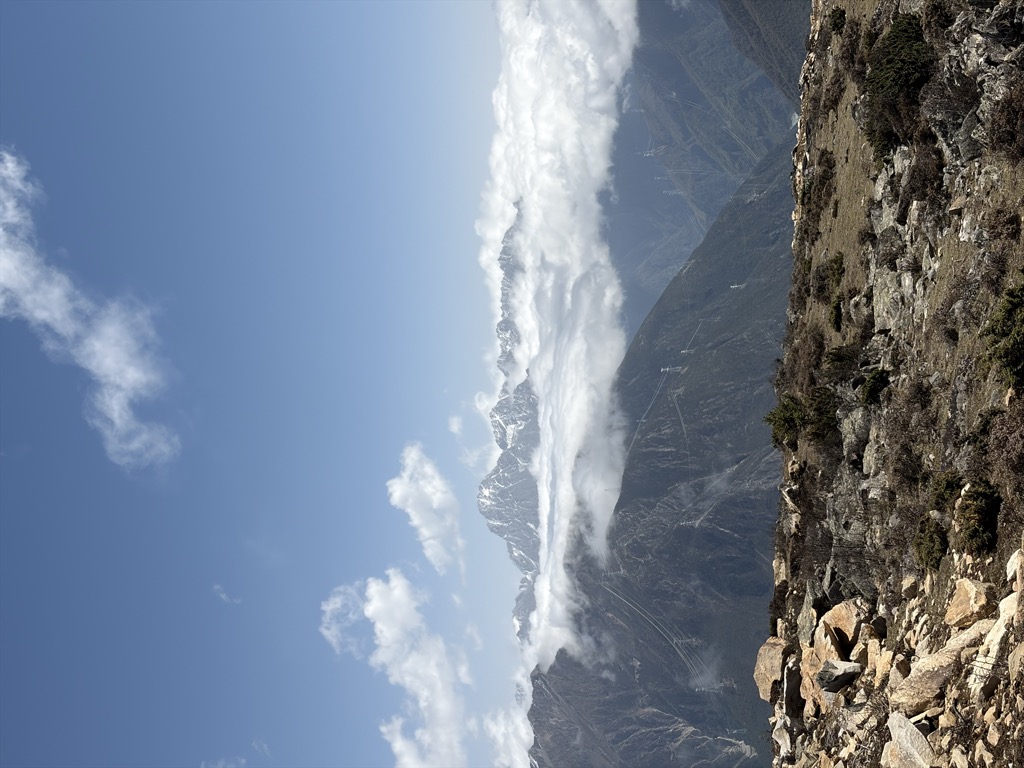 Photo №2 of Yaomei Feng