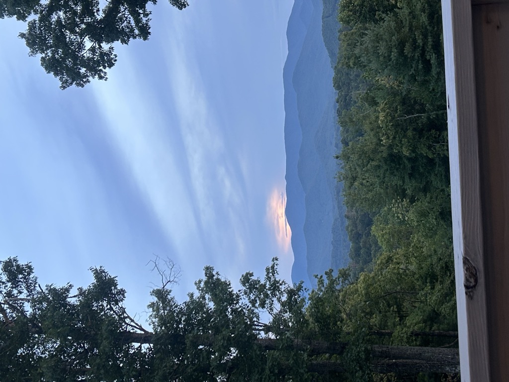 Photo №1 of Yellow Bald