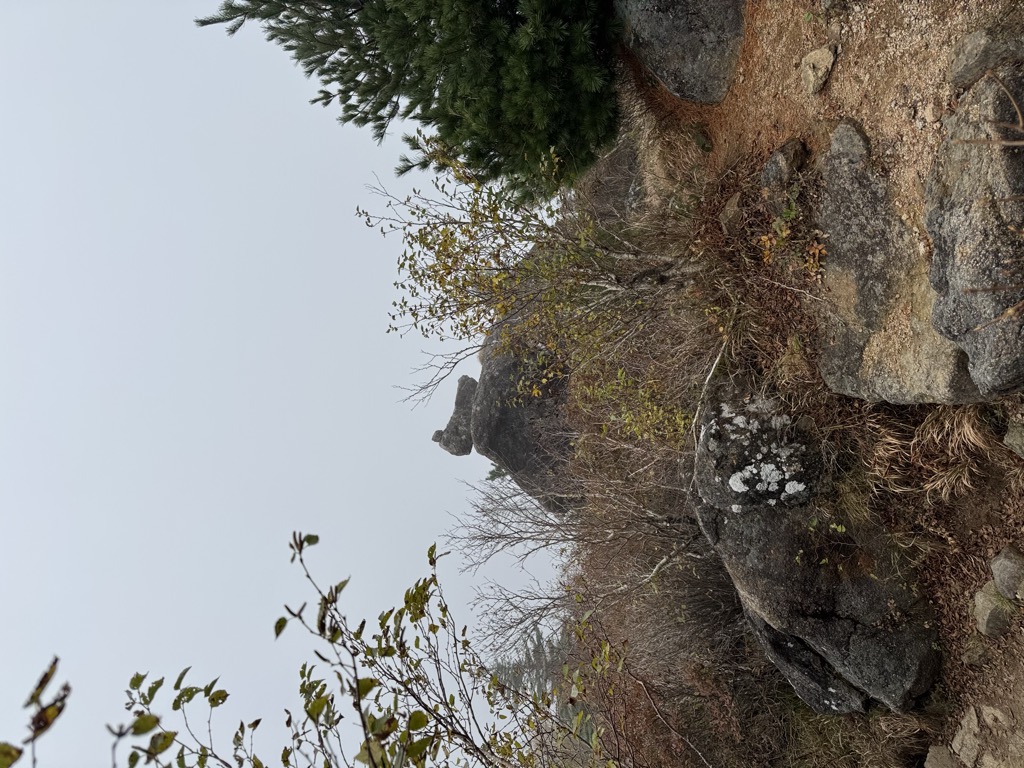 Photo №1 of Yeonhabong