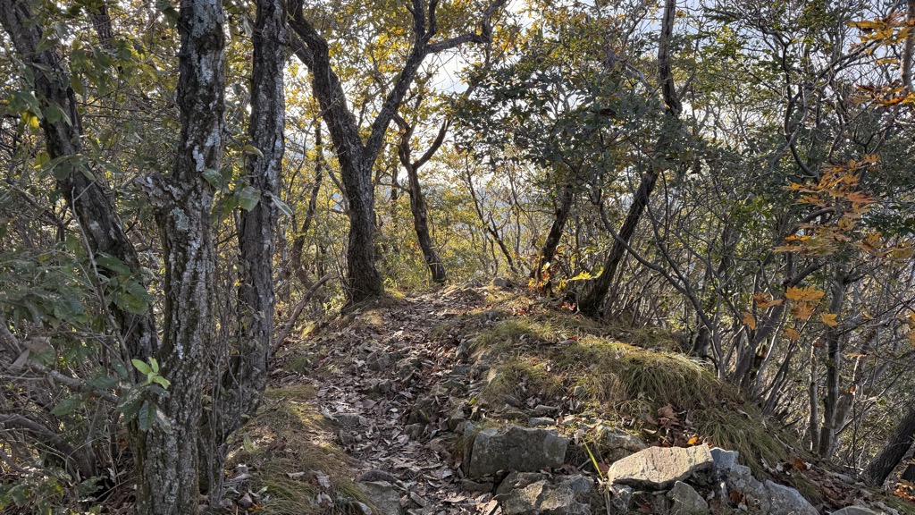 Photo №2 of Yeonjabong