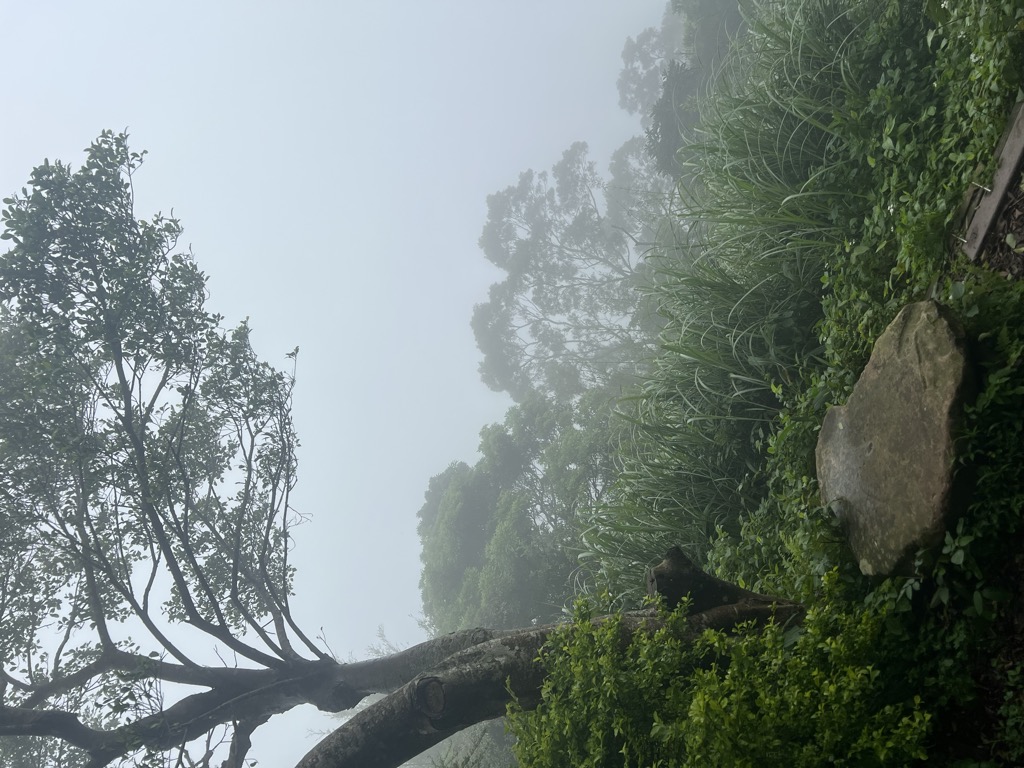 Photo №3 of Yingjieling