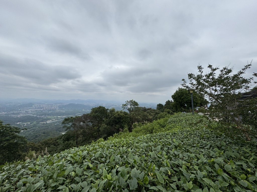 Photo №3 of Yóu Máshān