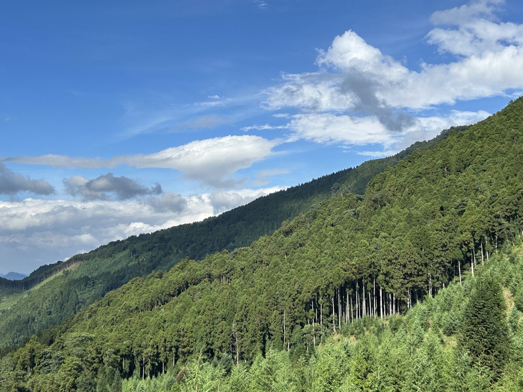 Photo №4 of Youluoshan