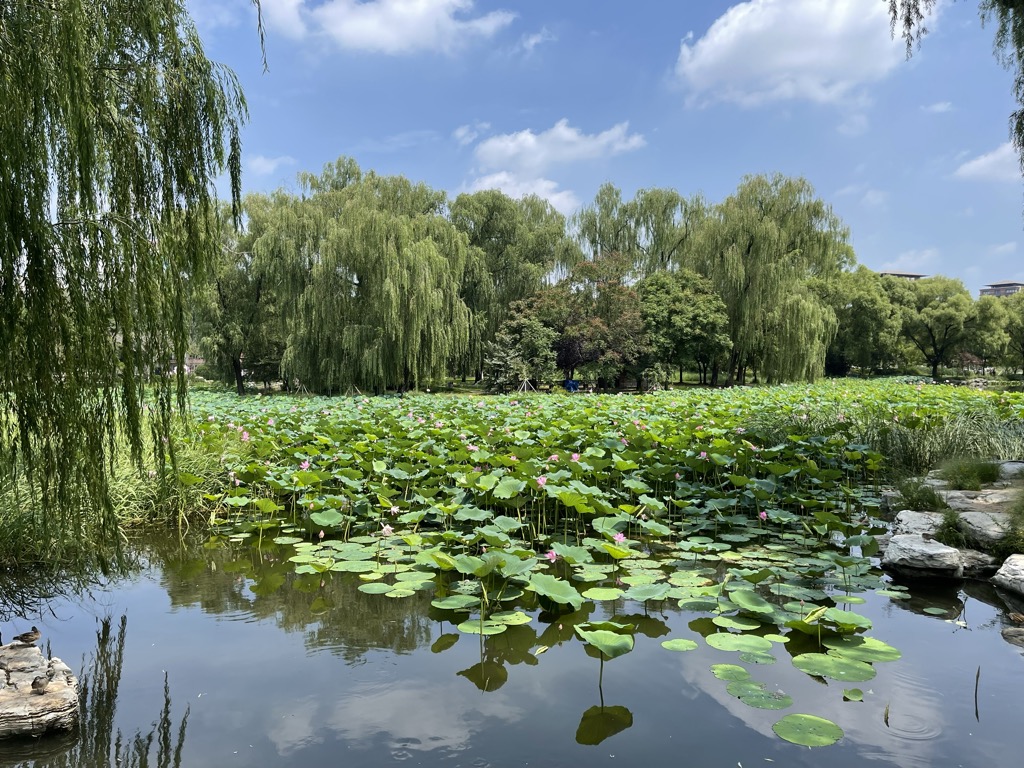 Photo №2 of Yù Yuān Tán