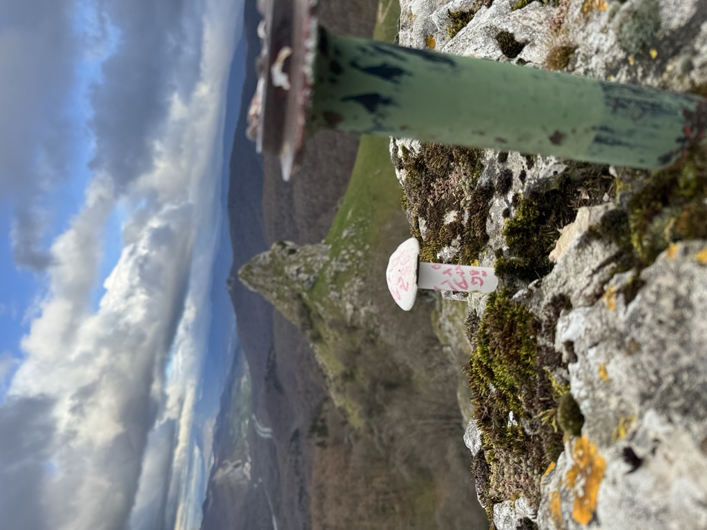 Photo №1 of Zabalaitz