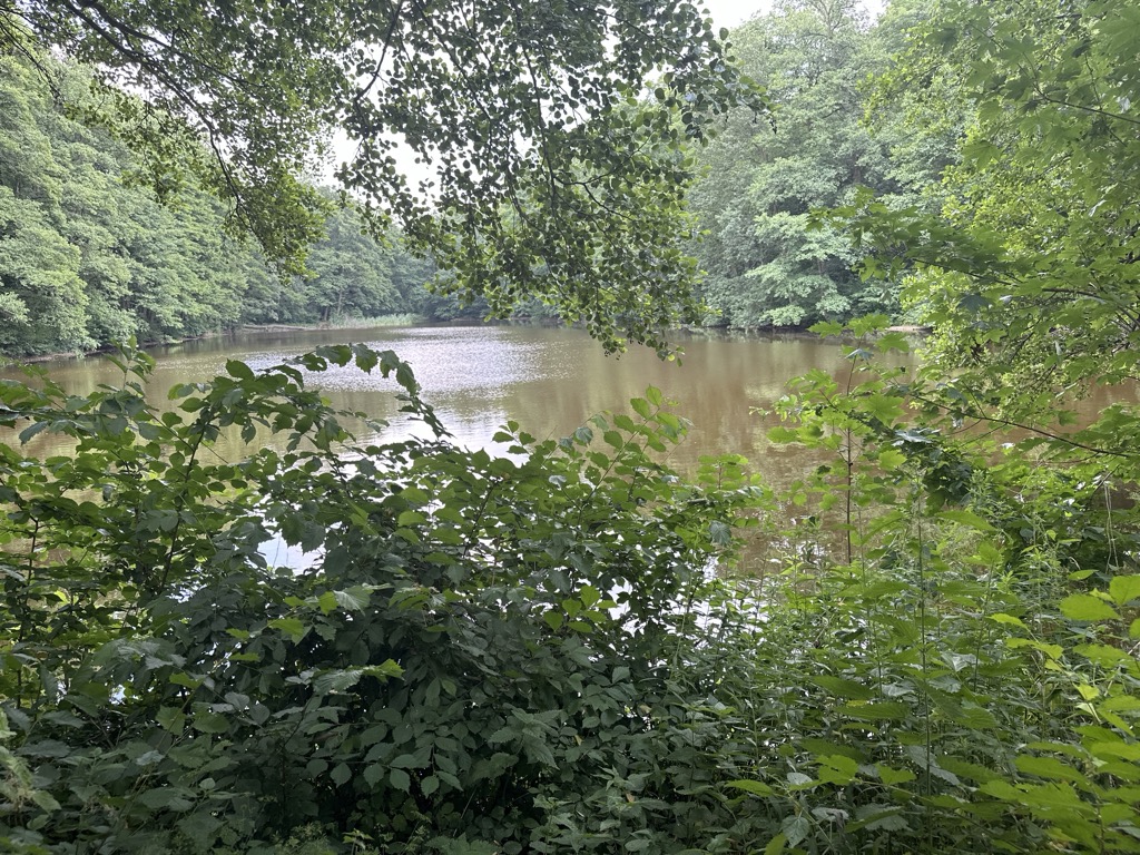 Zbiornik Leśny-Dolny