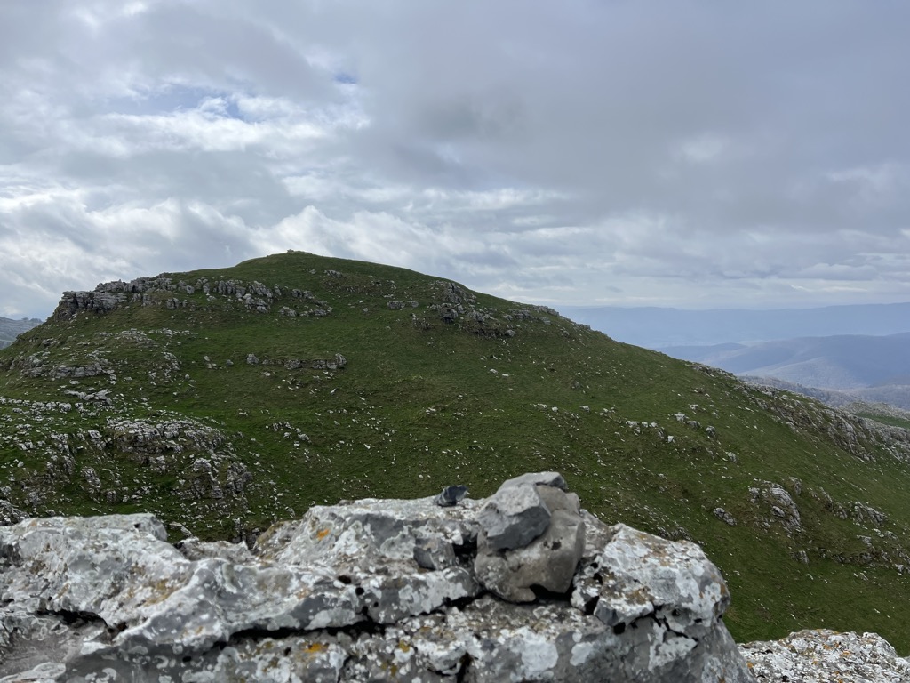 Photo №1 of Zealar