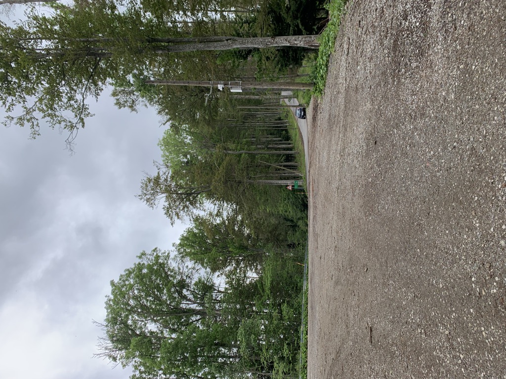 Photo №8 of Žensko sedlo