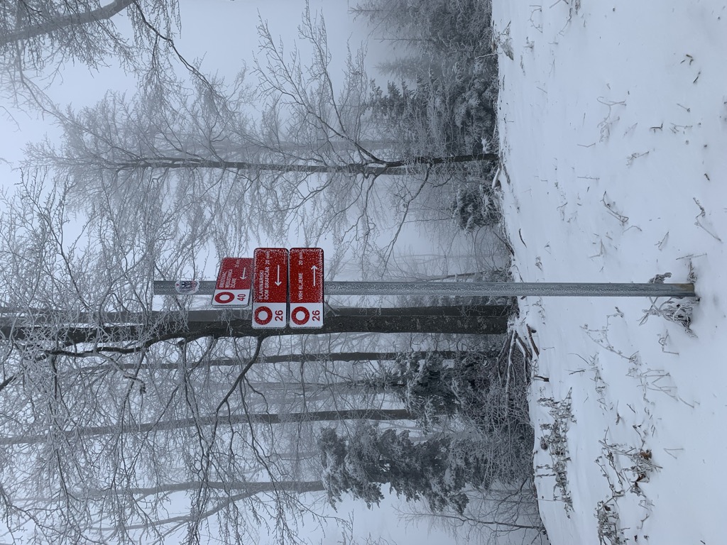 Photo №7 of Žensko sedlo