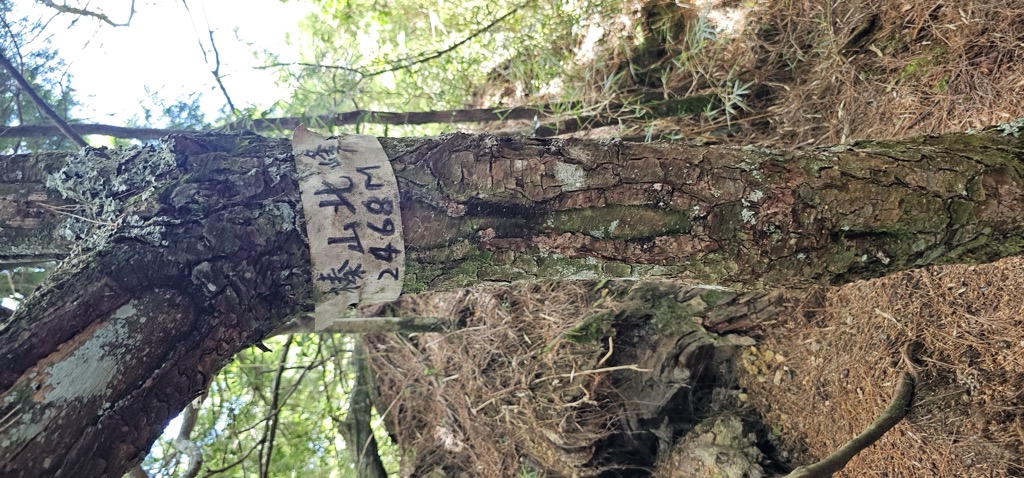 Photo №1 of Zhēn Shān Běifēng