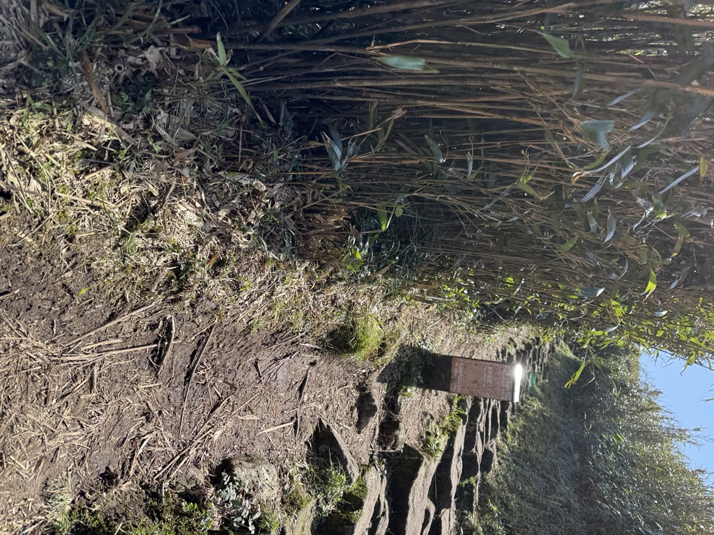 Photo №1 of Zhaixingfeng