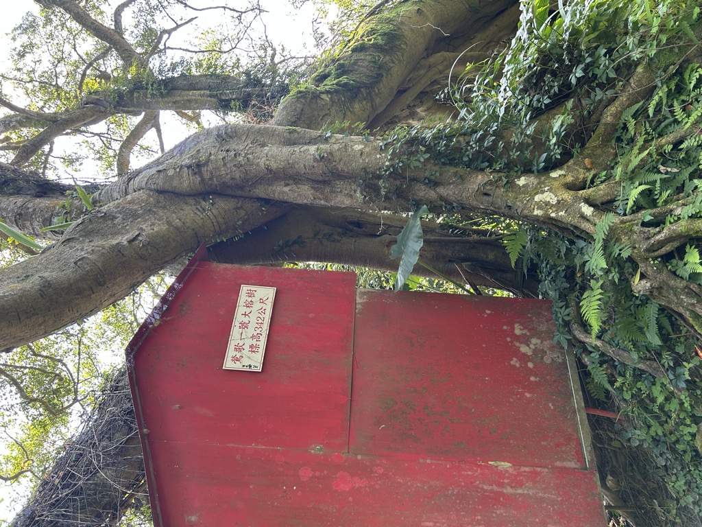 Photo №2 of Zhèn Tóushān