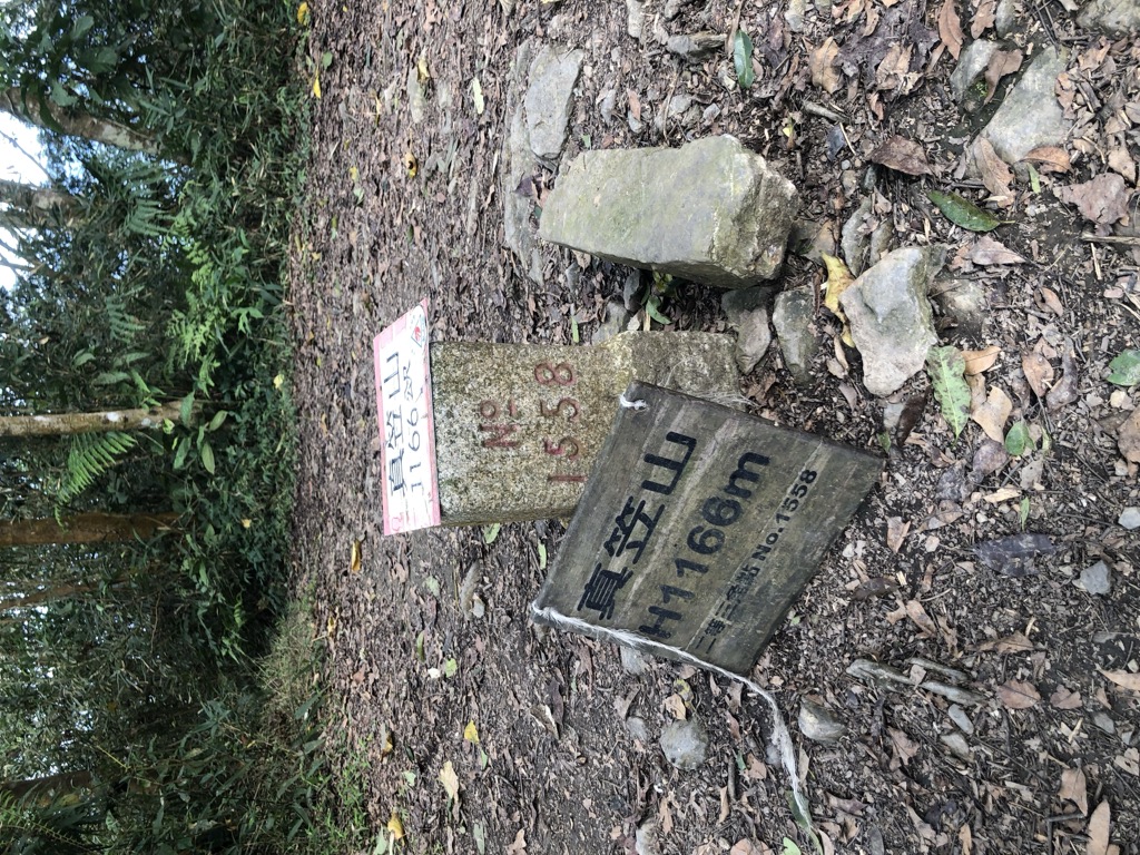 Photo №9 of Zhenlishan