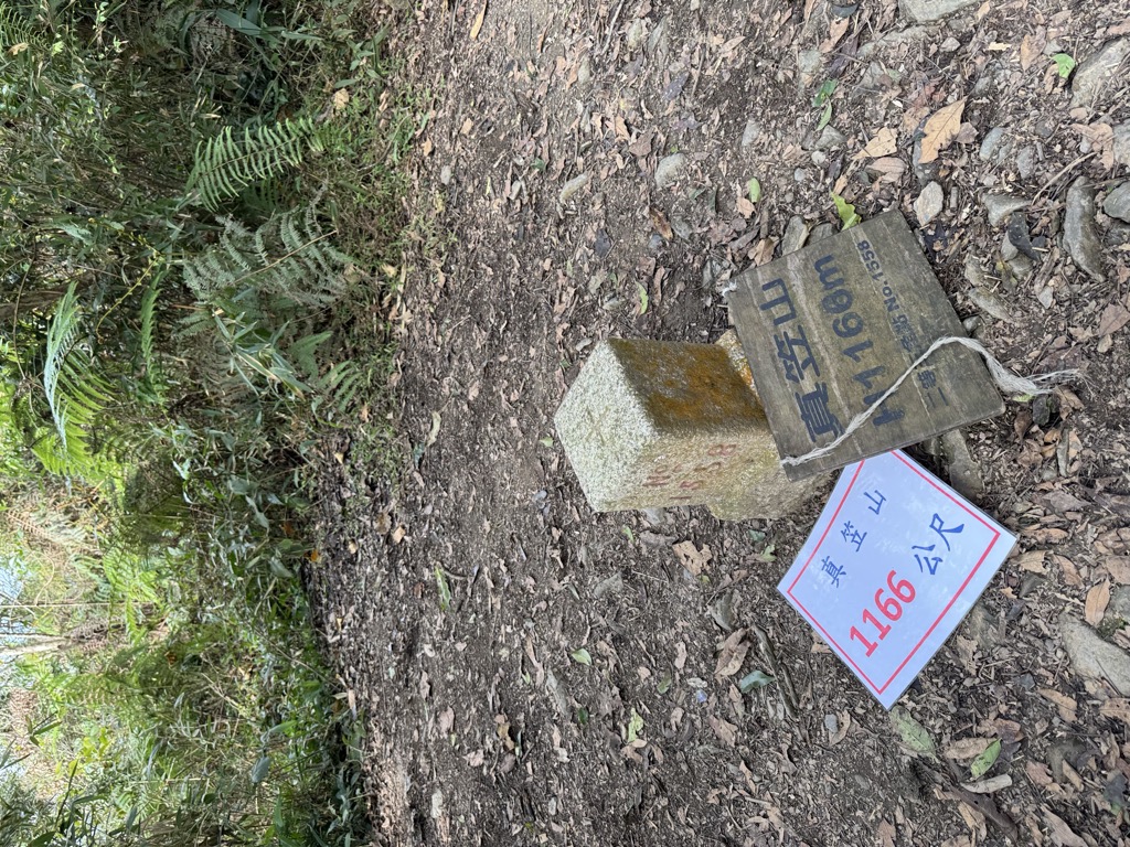 Photo №8 of Zhenlishan