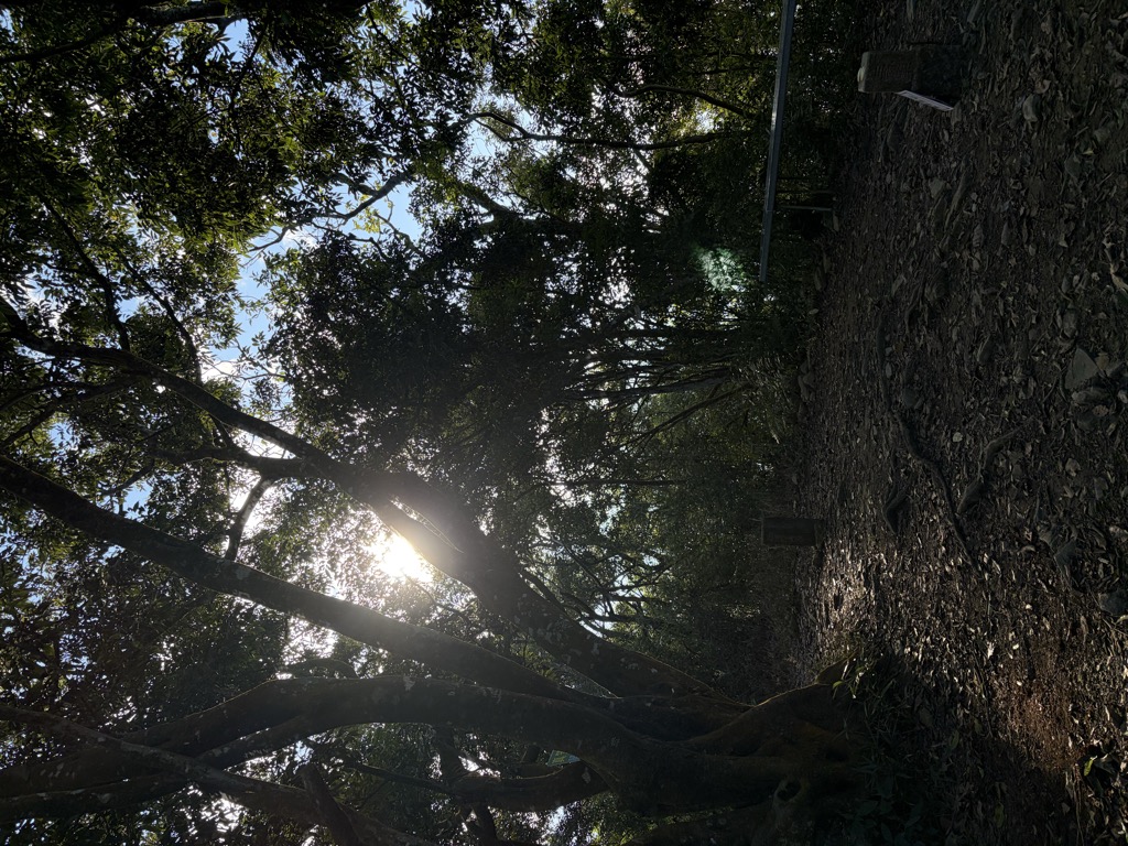 Photo №1 of Zhenlishan