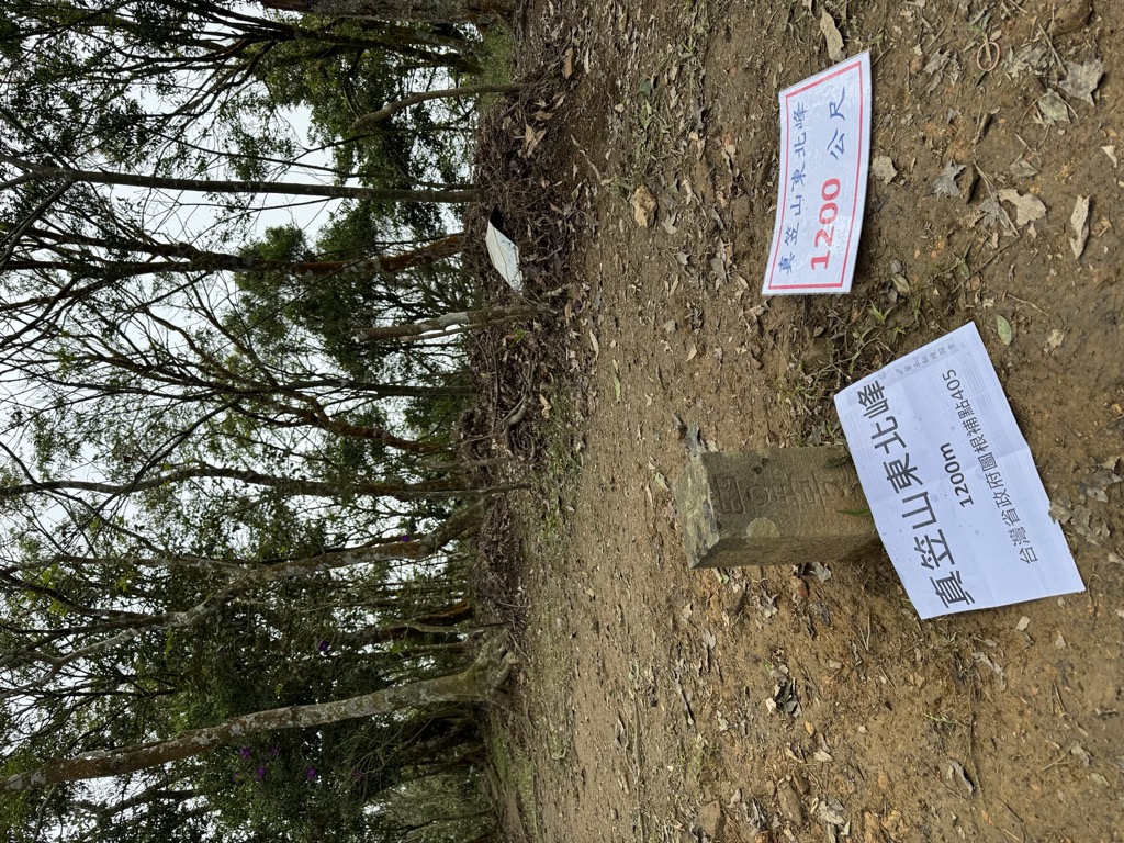 Photo №10 of Zhenlishandongbeifeng