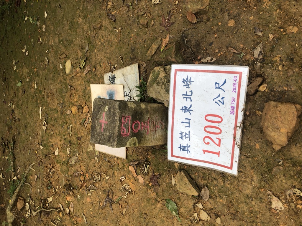 Photo №6 of Zhenlishandongbeifeng