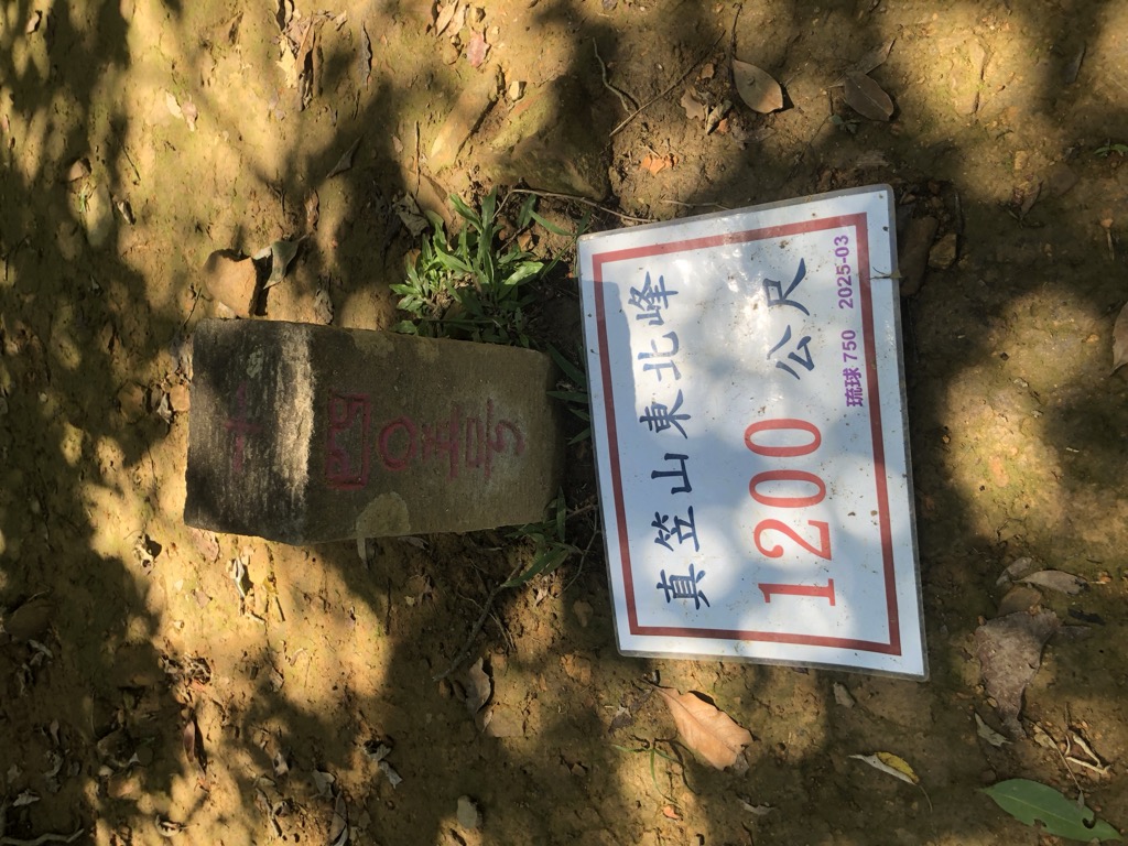 Photo №5 of Zhenlishandongbeifeng