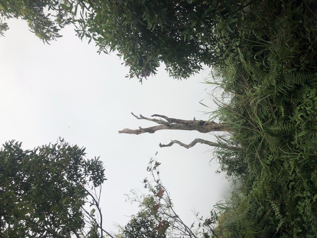 Photo №4 of Zhenlishandongbeifeng